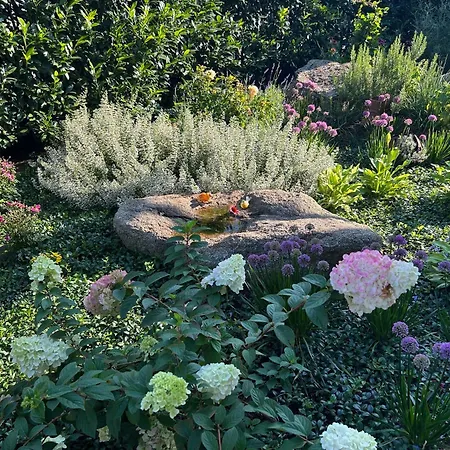 Gemuetliche Und Geraeumige Unterkunft, Naehe Linz * Luftenberg an Der Donau